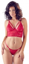 Sexy Lace Bra Set - Red